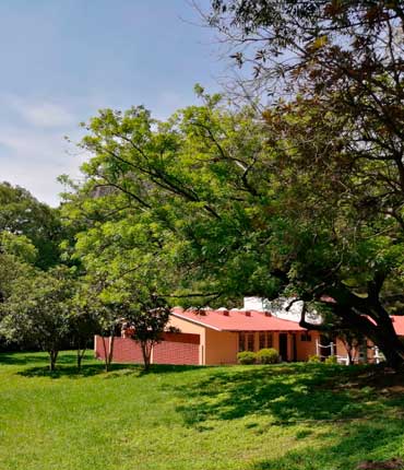 Cabañas en Tepoztlán